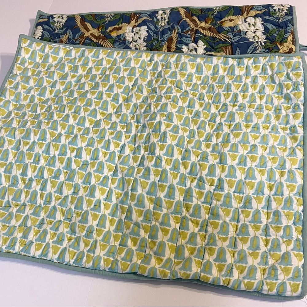 Pottery Barn Quilted Standard Pillow Shams
